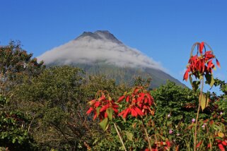Parque Nacional Volcan Arenal - La Fortuna